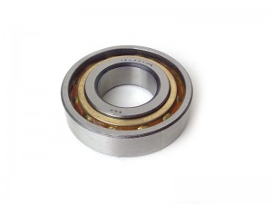 Inner Wheel Bearing BN1